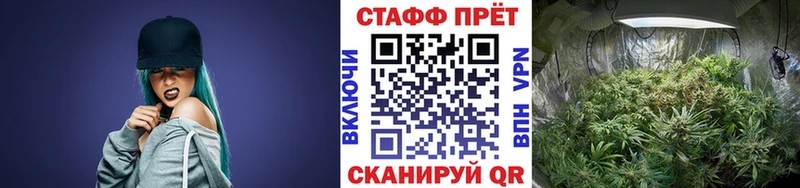 Магазины продажи наркотиков Кирсанов mega как войти  Меф мяу мяу  Альфа ПВП  Каннабис  COCAIN 