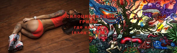 марки lsd Нея