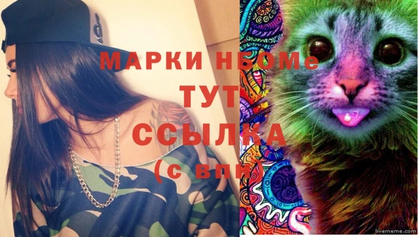 тгк Нефтекумск